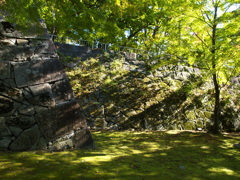 陽を感じるから③