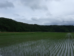 画素数とシャープネス6M②