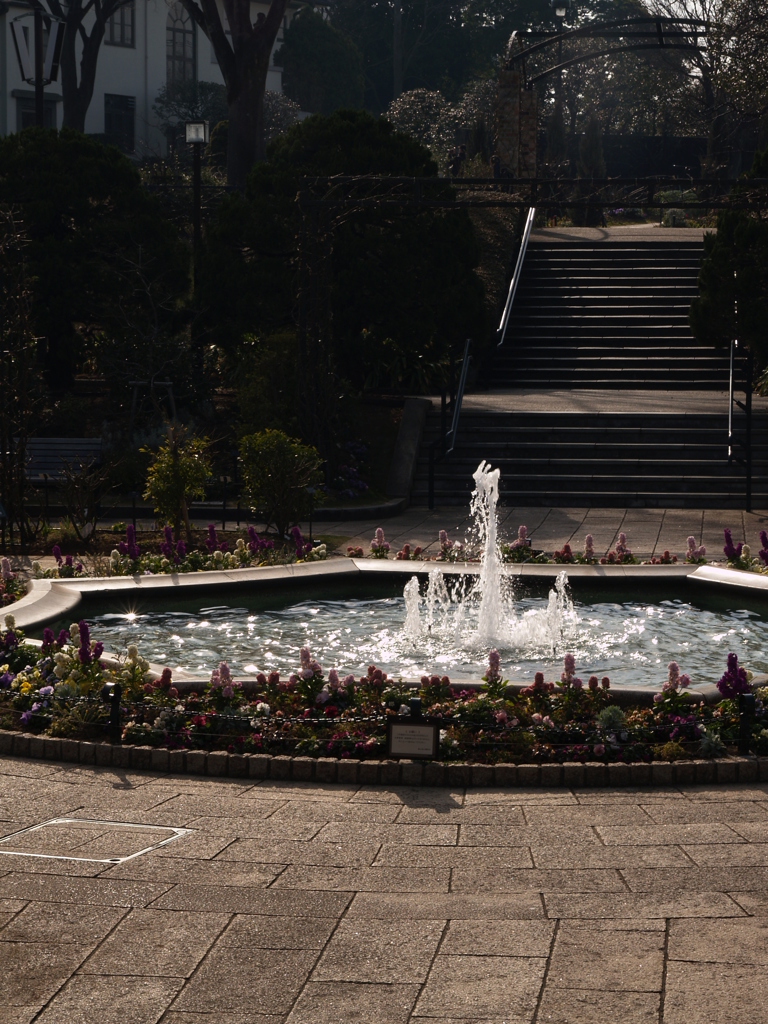港の見える丘公園⑤