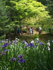 光景も写真で見るもの④