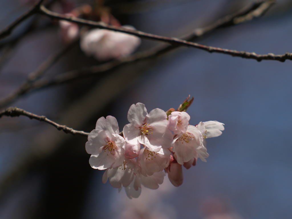 時流に逆らい②