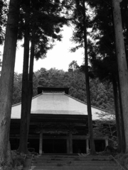 CCDの備忘録Pro1⑪