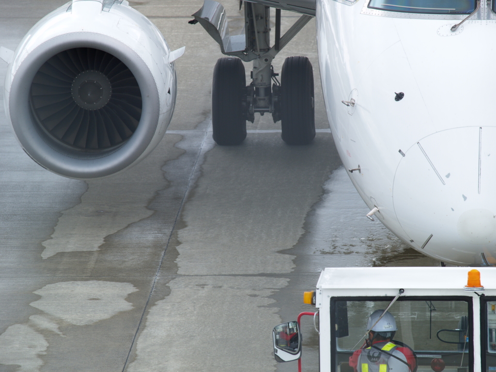 そこに在る物体