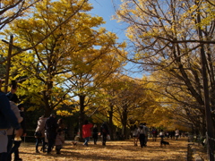 昭和記念公園④