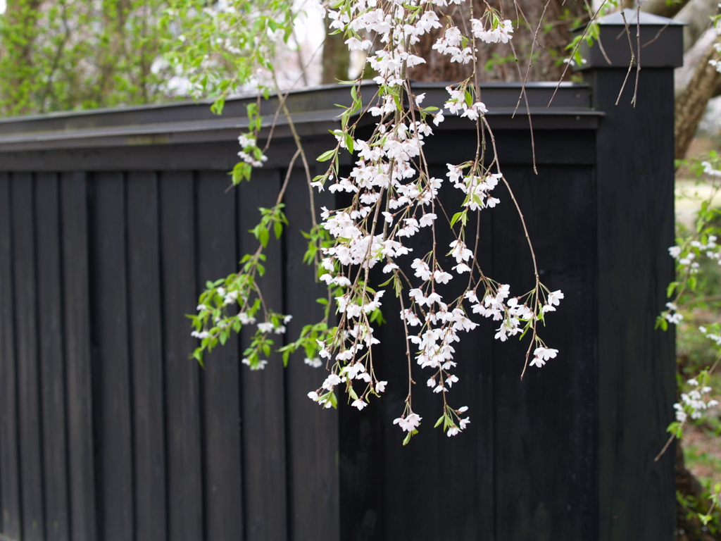秋田県　角館②