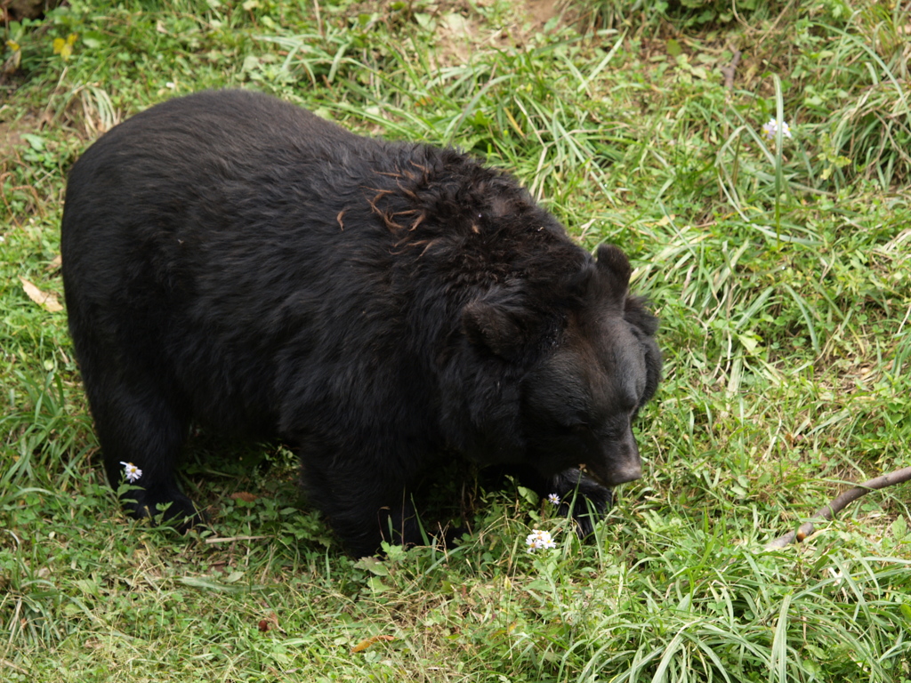 動物公園⑫