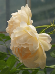 6月を振り返ると②