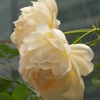 6月を振り返ると②