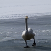 昔の写真①
