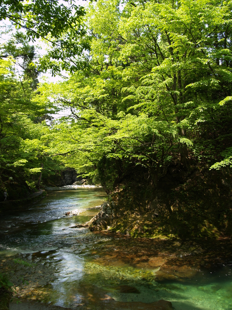 伏伸の滝_五月④