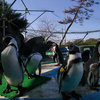 動物園散歩③