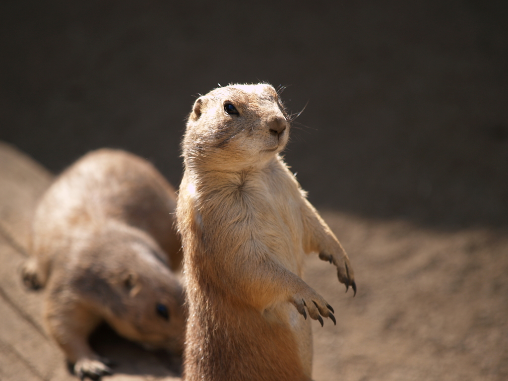 その生物は生きているか