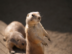 その生物は生きているか