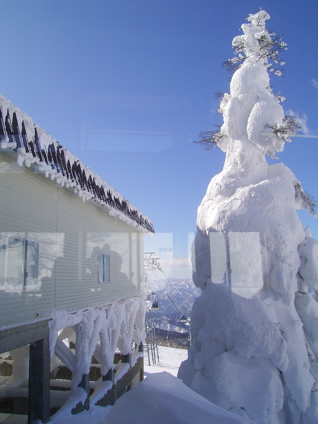 頂の雪⑦