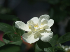 6月を振り返ると⑦