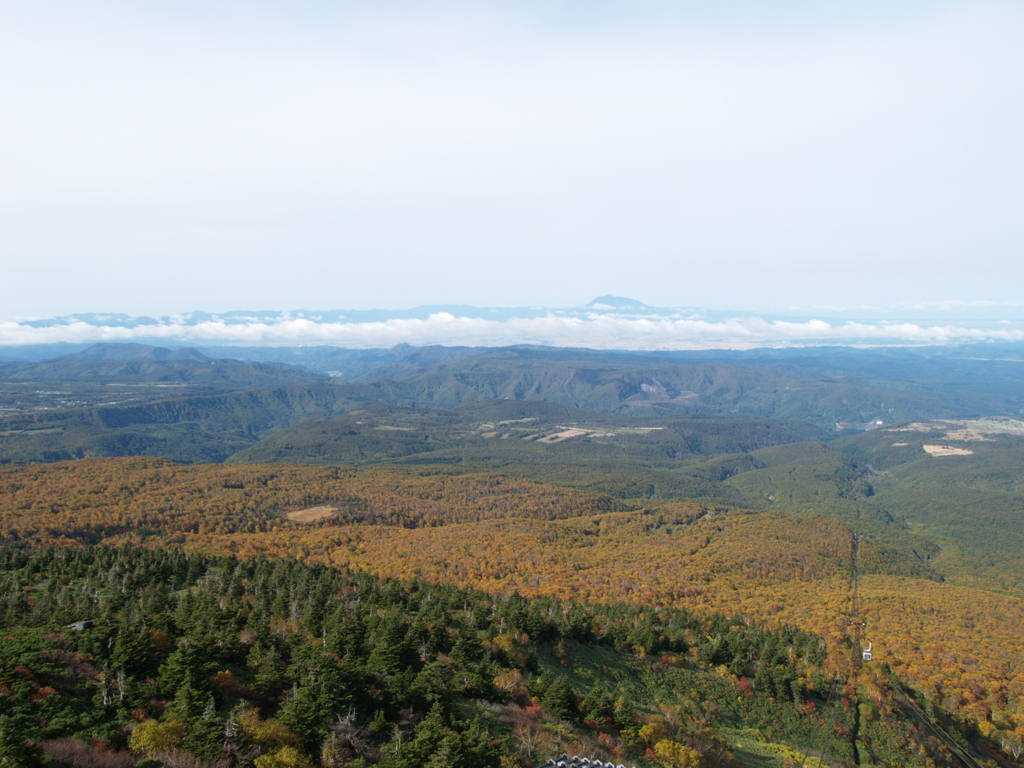自然という空間の事実①