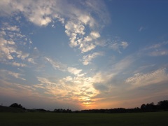 確かに光は生きていた②