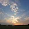 確かに光は生きていた②