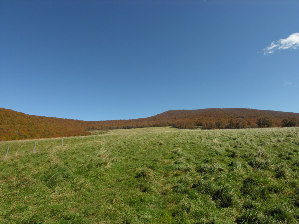 そのままの広さ