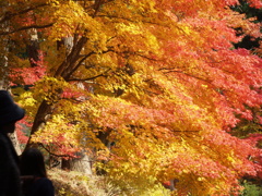 出逢えた機会を、