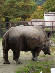 動物公園⑮