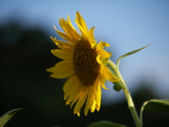 8月を振り返ると①