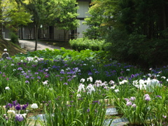 7月を振り返ると③