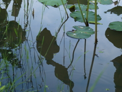 薄汚れた世界④