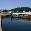 宮城県気仙沼市　気仙沼港