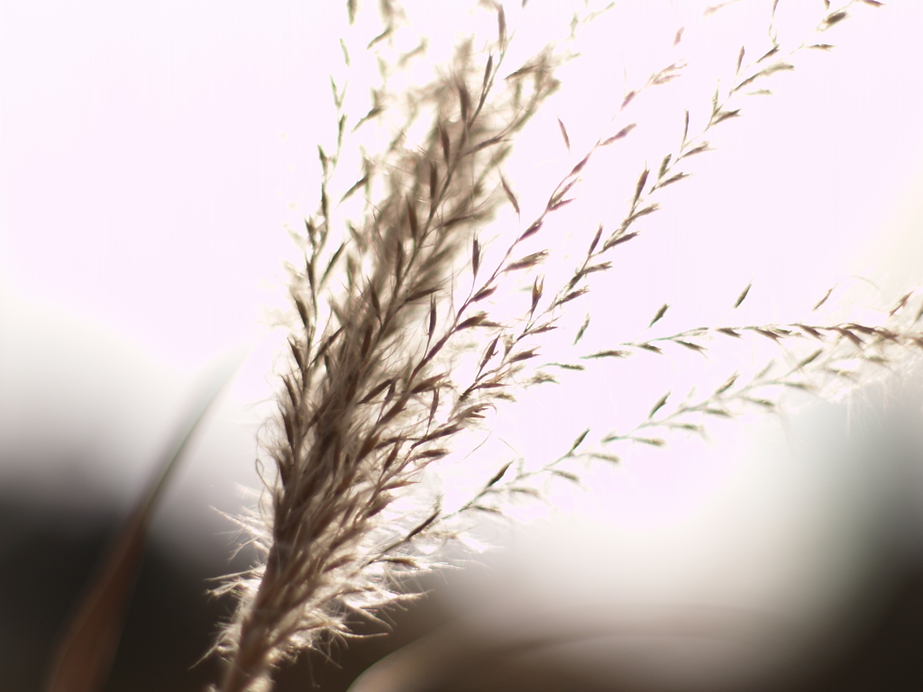 写真の光を、⑤