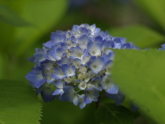 6月を振り返ると①