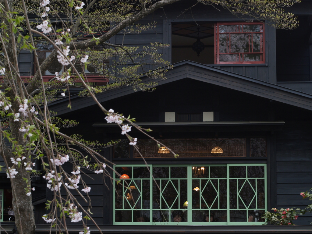 桜のまち角館③
