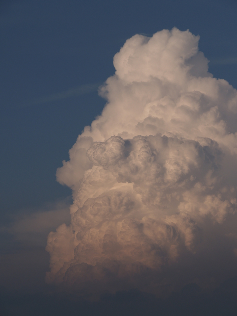 8月を振り返ると⑥