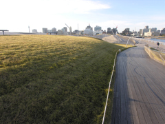 ⑧横浜大さん橋