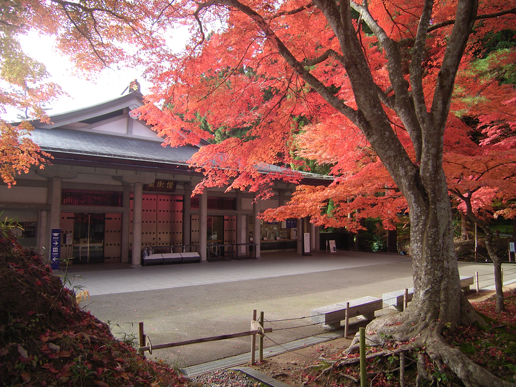 紅葉狩り_中尊寺①