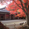 紅葉狩り_中尊寺①