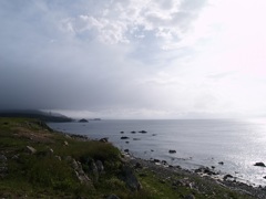海辺③