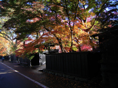 CCDの備忘録GX④