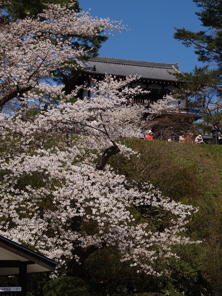 秋田 千秋公園②