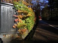 CCDの備忘録GX⑦