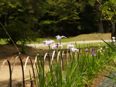 寺巡り⑩