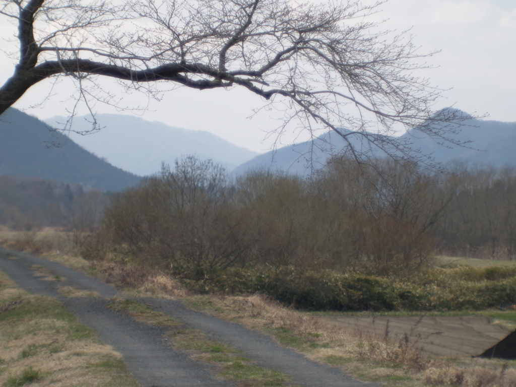 遠野の今、Jupiter-9