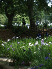 光景も写真で見るもの③