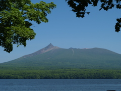 緑のぬり絵はいつから？