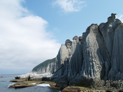 自然を感じてます