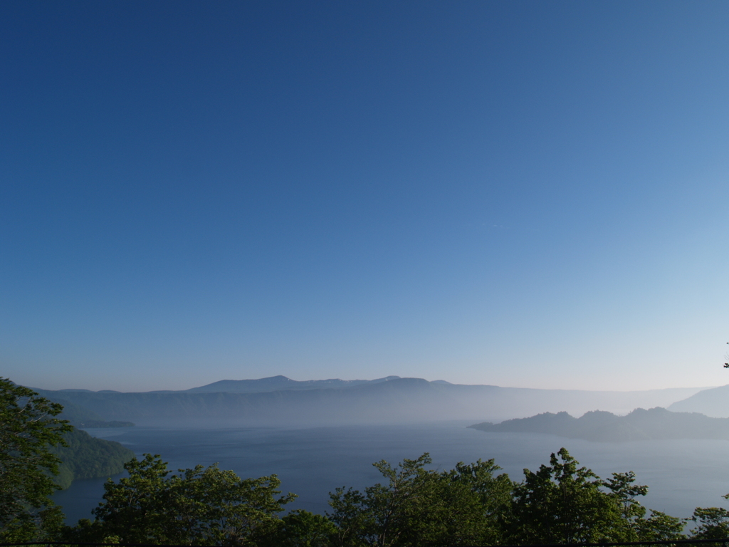 この先の青い森へ