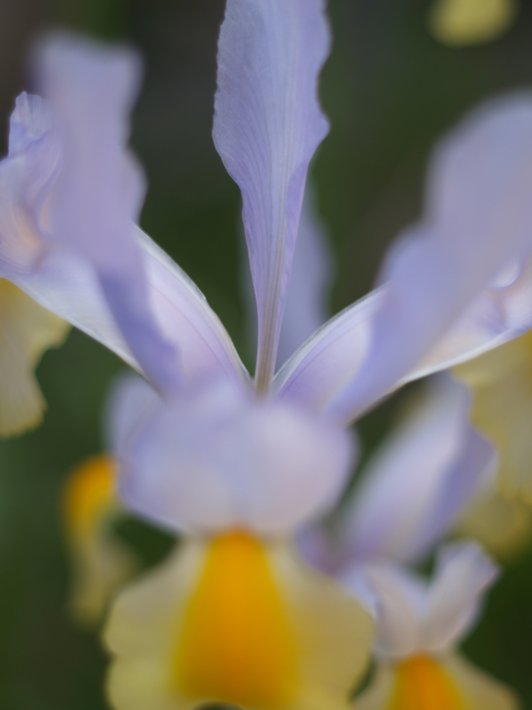 これもコダックホワイト