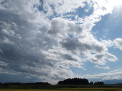 リアリティへの回帰⑤