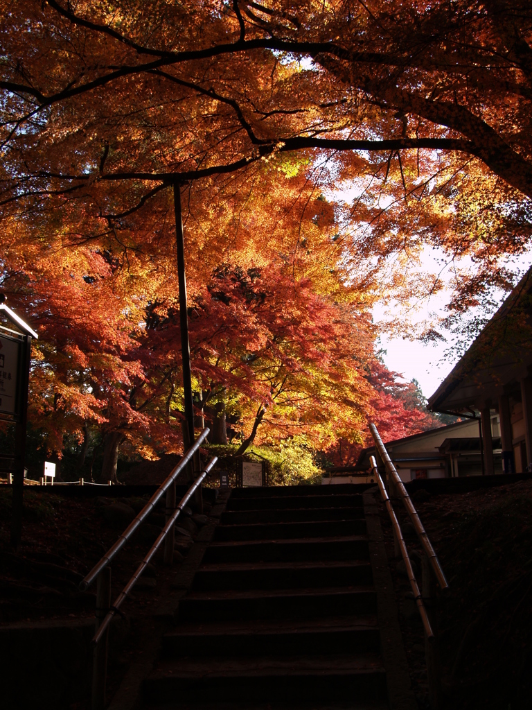 今年の中尊寺