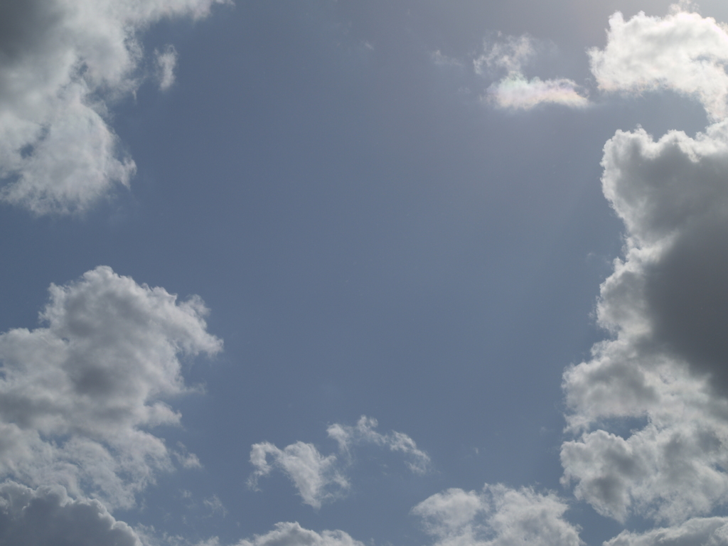 見上げてごらんよ